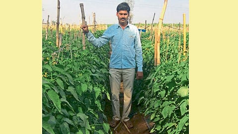 काटेकोर शेती व्यवस्थापनावर जितेंद्र पाटील यांनी भर दिला आहे.