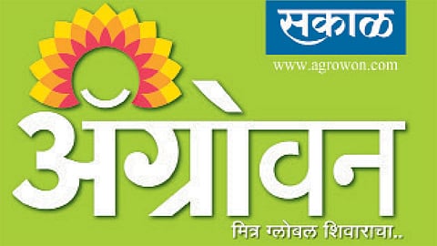 Agrowon