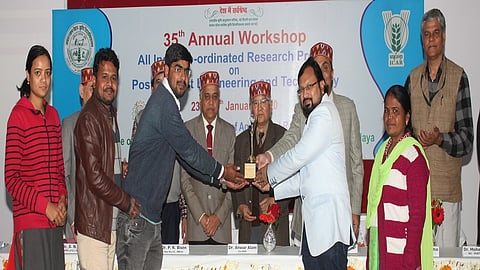 Award.JPG