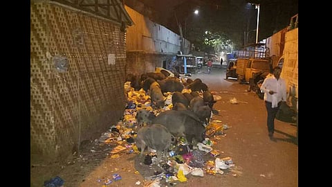 Bhavani-peth