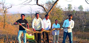 chopda capchar ajgar 