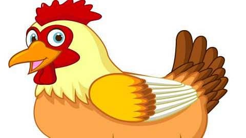 Chicken