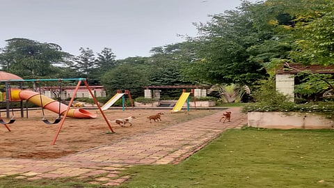 Citizens are facing problems by stray dogs and alcoholics in Sangvi park