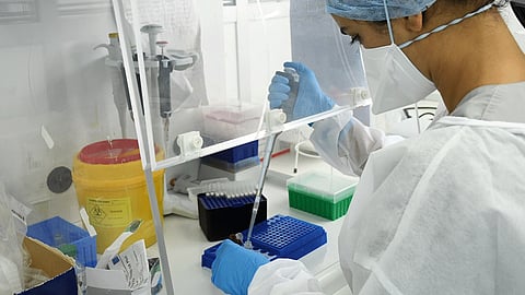 america records more than 67000 new covid 19 cases in 24 hours 