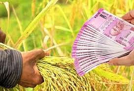 Crop loan