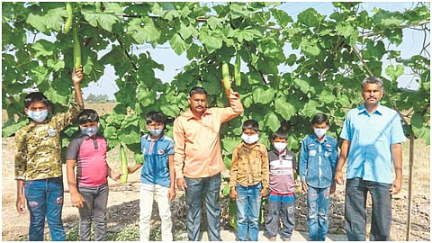 Deshi Vegitable