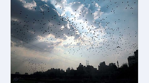 ढगाळ वातावरण 