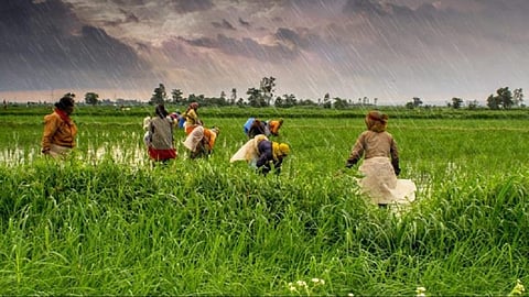 Nirmala Sitharaman,20 lakh crore package,  atmanirbhar bharat 