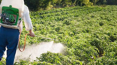 Farmer spraying