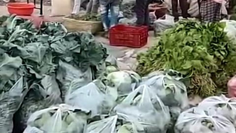 Farmers are worried over the sharp fall in vegetable prices.jpg