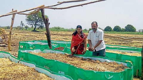 माने दांपत्याने सुरू केलेला गांडूळखतनिर्मिती व्यवसाय.