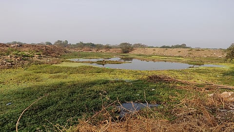 घणसोलीतील पाणथळीवर भरावास मनाई 