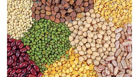 Grains