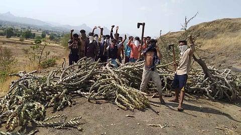 तरूणांनी रस्त्यावर साबर तोडून आडवी करून गाव बंदी केली
