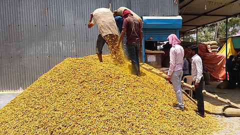 Turmeric