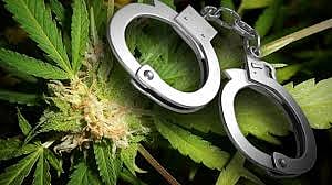 Hemp