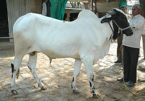 file photo