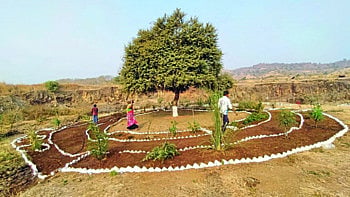 पर्यावरण समृध्दीचा निर्धार...ग्रामस्थांनी गावात साकारला जैवविविधता रक्षणाचा प्रकल्प !