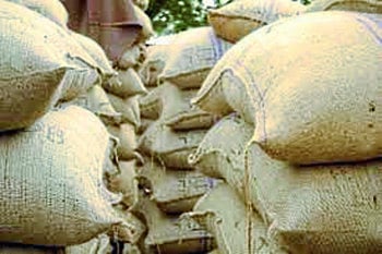 धान्य खरेदीचा मार्ग सुकर... धान्य खरेदीसाठी दीड लाख बारदान 