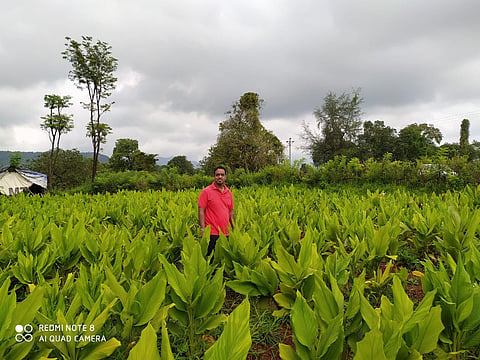 Low cost farming in Bhirwande
