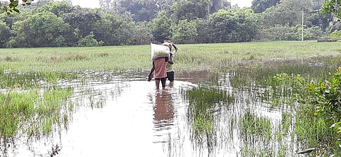 road water facility problems vayangani konkan sindhudurg