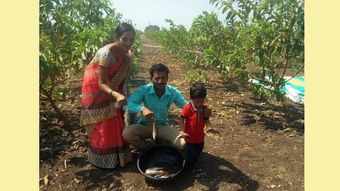 नोकरी सोडून शिक्षिकेने धरली शेतीची कास  