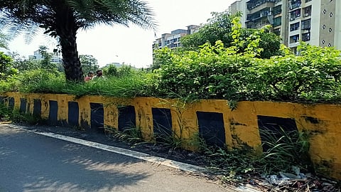 कल्याण-डोंबिवलीत दुभाजकांना गवताचा वेढा; अपघाताची शक्‍यता 