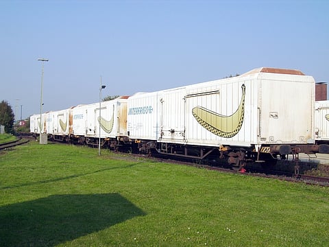 banana wayguns imege jalgaon