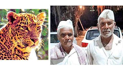 कन्हेरी (ता. बारामती) - बिबट्याला पिटाळून लावणारे महादेव काळे व आनंदा केसकर (डावीकडील).