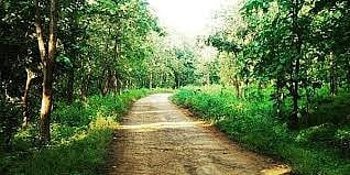 melghat