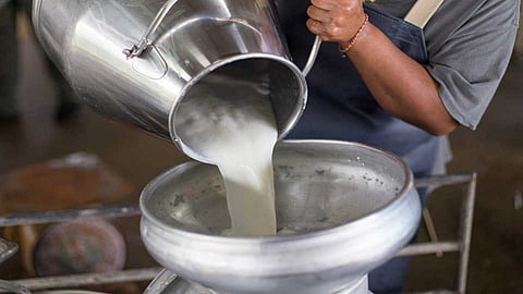Milk