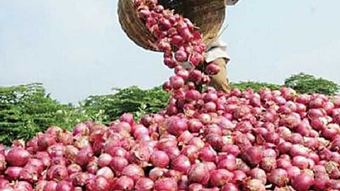 onion