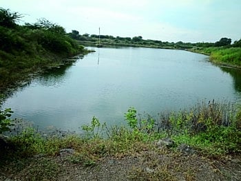 जलसाठ्यामुळे सावरपाडा परिसरात बहरू लागल्या फळबागा ! 