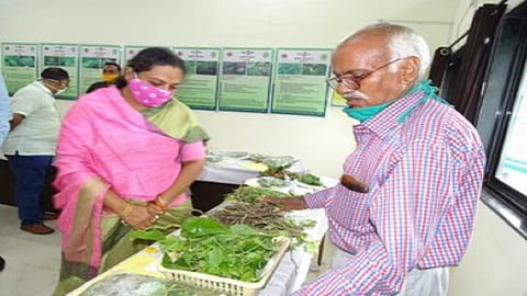 farmer do experiments by farming traditional vegetables 
