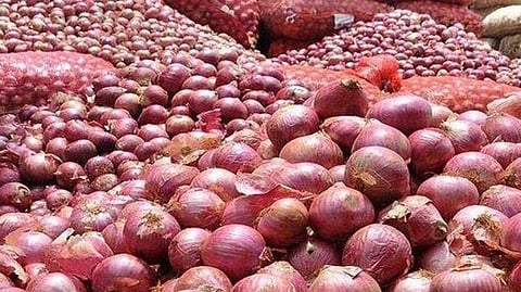 Onion