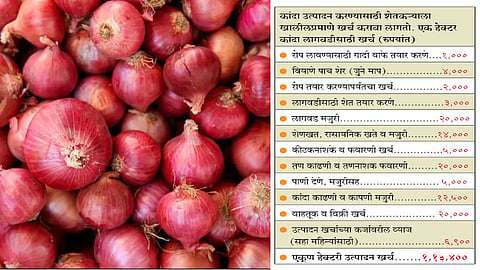 Onion