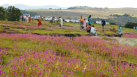 Satara