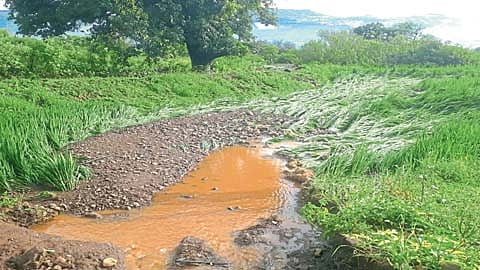 Satara