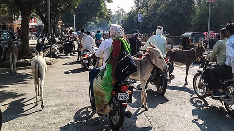 nanded Photo