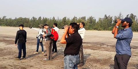 Bird Counting