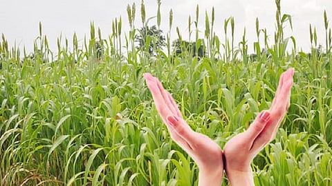 90 percent and more Farmers till not get Crop Insurance in Nagpur 