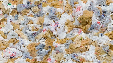 representational image of Plastic Bags