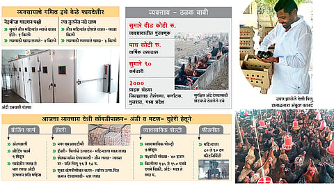 ‘ब्रीडिंग’, ‘हॅचिंग’ आणि व्यावसायिक त्रिस्तरीय देशी पोल्ट्री उद्योग 
