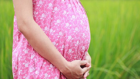 Pregnant mother and infectious diseases