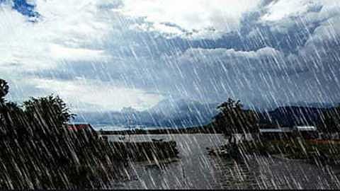 Rain