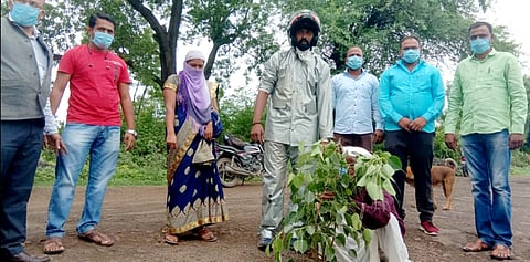 An agitation by planting trees on the road by the youth in Wambori in Rahuri taluka