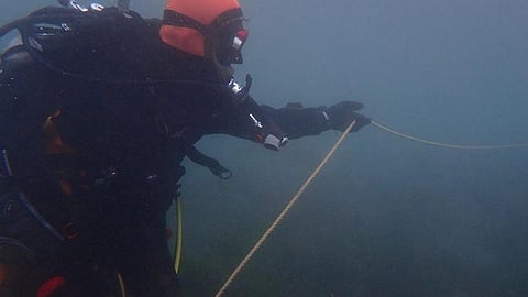 japanese man who is looking for his wife into the sea 