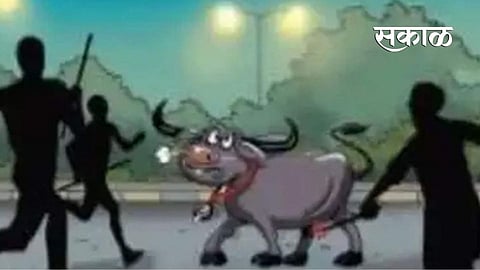 animals were stolen