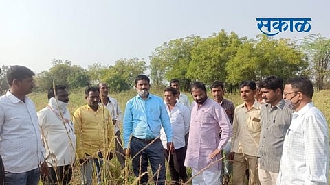 Sakal 