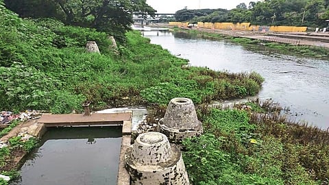 Sewage in Godavari river